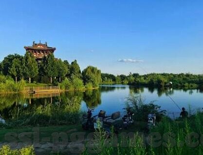 齐达内在世界杯的进球数-齐达内世界杯进球传奇